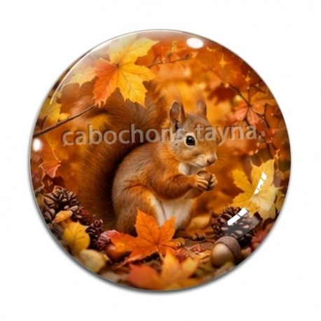 Cabochon Verre - écureuil 