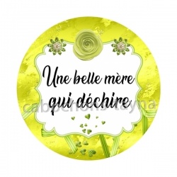 une belle mère qui déchire