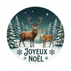 joyeux noël
