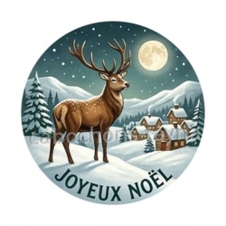  joyeux noël