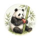panda
