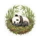 panda