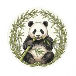 panda