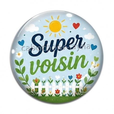 Cabochon Verre - super voisin