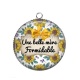 Pendentif Cabochon Argent - belle mère formidable