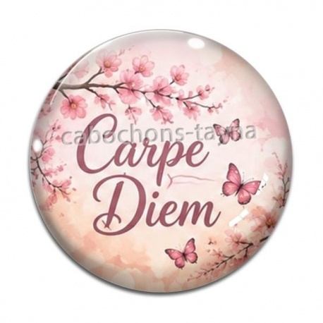 Cabochon Verre - Carpe Diem