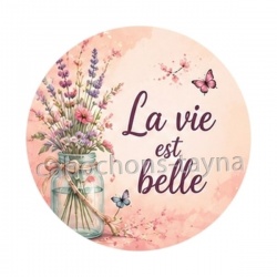 la vie est belle