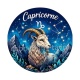 Capricorne signe astrologique