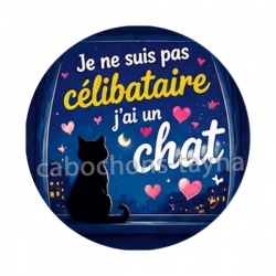 je ne suis pas célibataire j'ai un chat