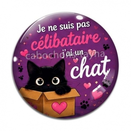 Cabochon Verre - je ne suis pas célibataire j'ai un chat