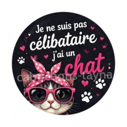 je ne suis pas célibataire j'ai un chat