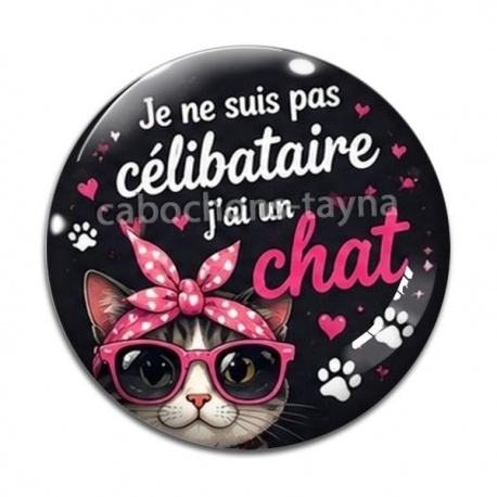 Cabochon Verre - je ne suis pas célibataire j'ai un chat