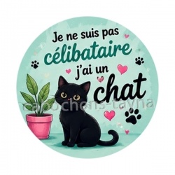 je ne suis pas célibataire j'ai un chat