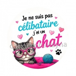 je ne suis pas célibataire j'ai un chat