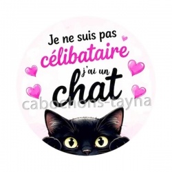  je ne suis pas célibataire j'ai un chat