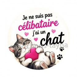  je ne suis pas célibataire j'ai un chat