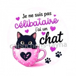  je ne suis pas célibataire j'ai un chat